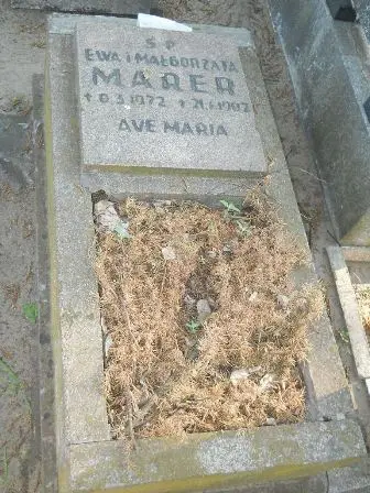 Zdjęcie grobu 7b/313