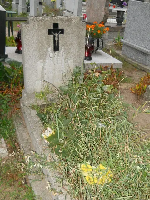 Zdjęcie grobu 20/29076