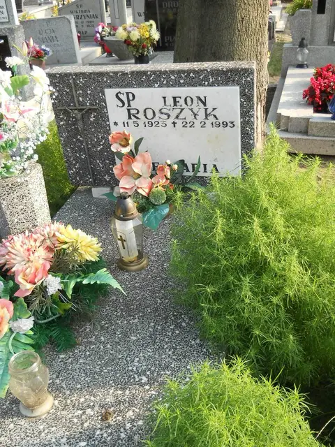 Zdjęcie grobu 23/28813