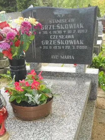 Zdjęcie grobu 41/144