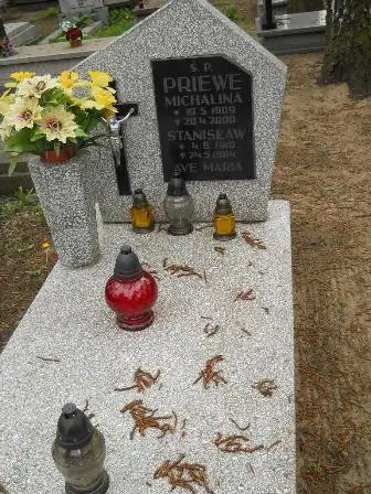 Zdjęcie grobu 32/189