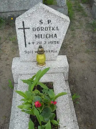 Zdjęcie grobu 7b/100