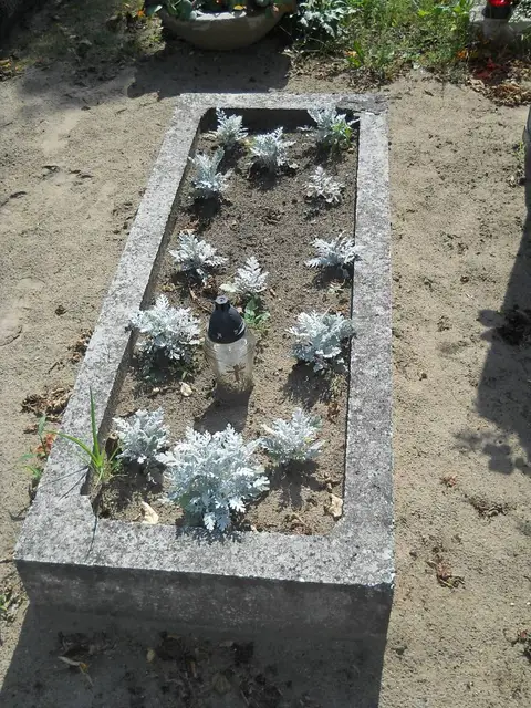 Zdjęcie grobu 18/28399