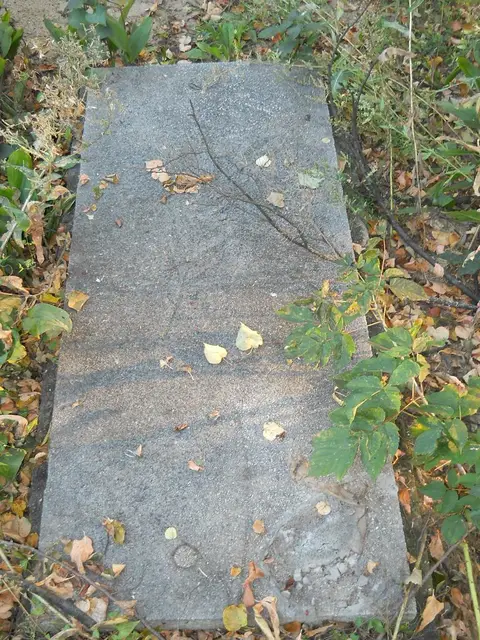 Zdjęcie grobu 15/26840