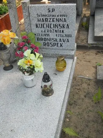 Zdjęcie grobu 42/306