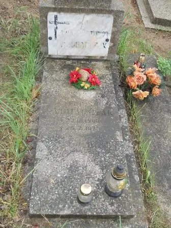 Zdjęcie grobu 36/100