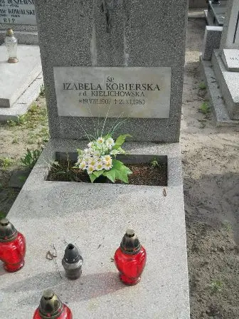 Zdjęcie grobu 22/100