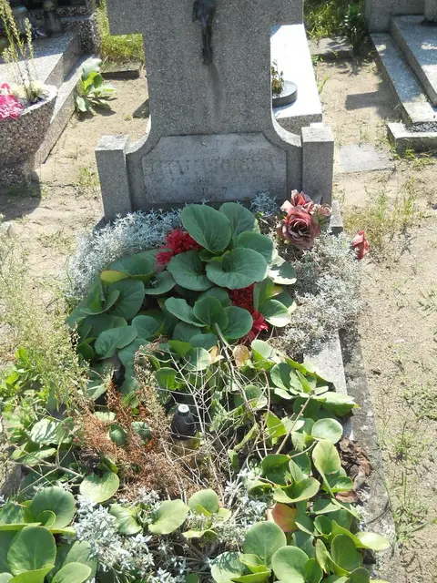 Zdjęcie grobu 14/27526