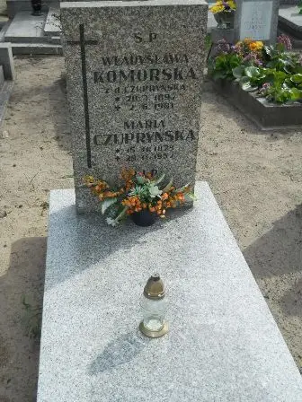 Zdjęcie grobu 27/263