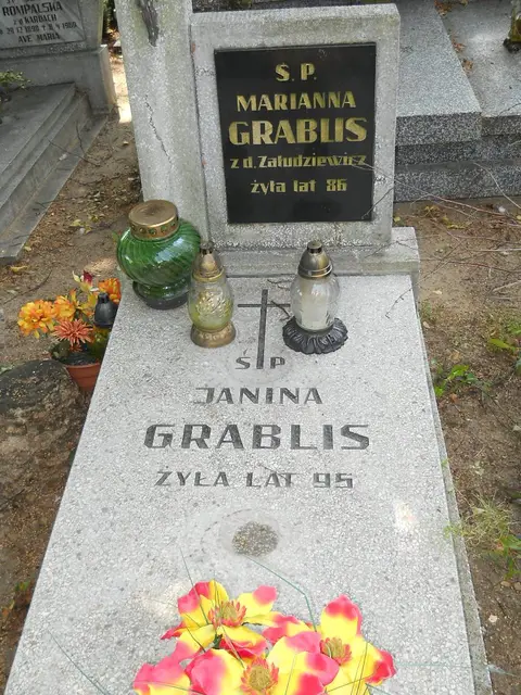 Zdjęcie grobu 18/28274