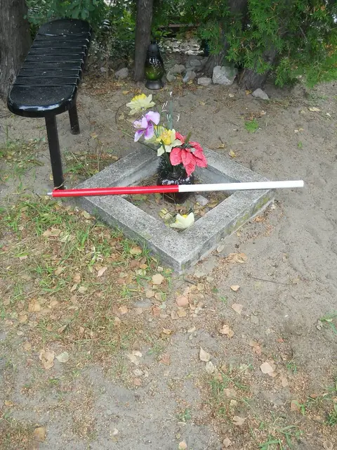 Zdjęcie grobu 16/26144