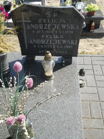 Zdjęcie grobu 46/50