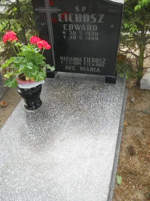 Zdjęcie grobu 7/11082