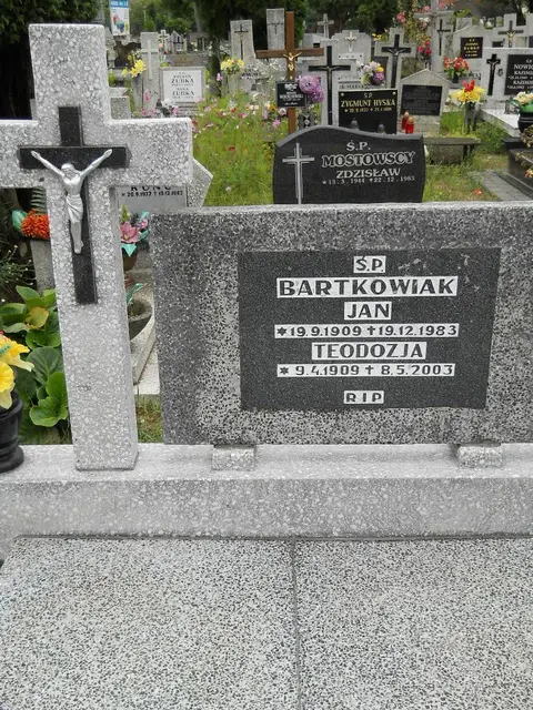 Zdjęcie grobu 24/23336