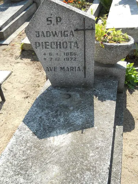 Zdjęcie grobu 14/27329