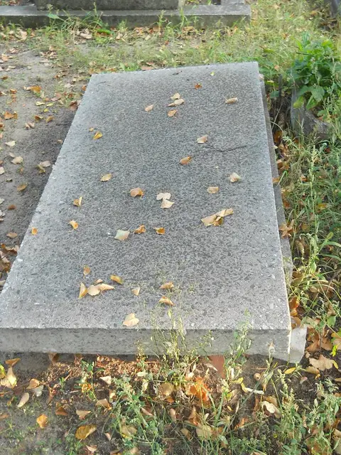 Zdjęcie grobu 15/26827