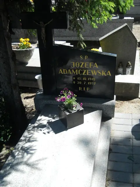 Zdjęcie grobu 8/10037