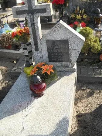 Zdjęcie grobu 100/100