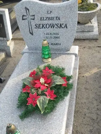 Zdjęcie grobu 100/100