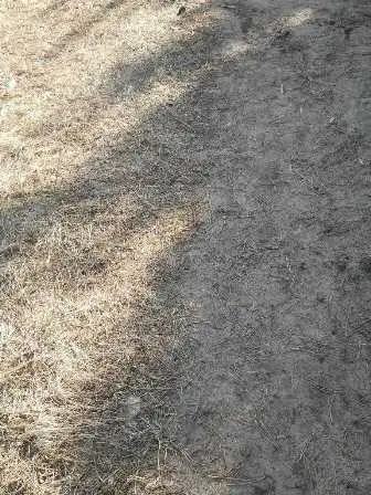 Zdjęcie grobu 100/100