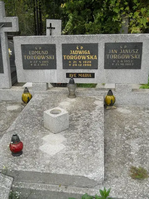 Zdjęcie grobu A/24701