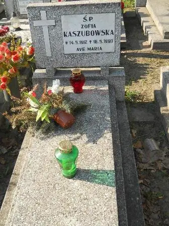 Zdjęcie grobu 7/68