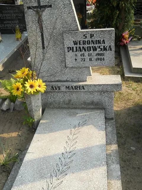 Zdjęcie grobu 23/28771