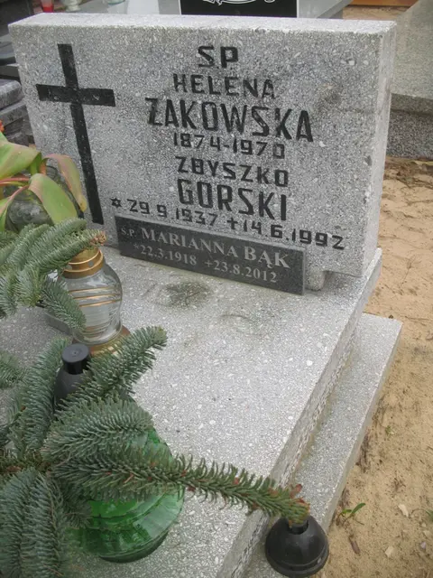 Zdjęcie grobu 7/11096