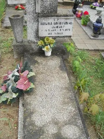 Zdjęcie grobu 36/100