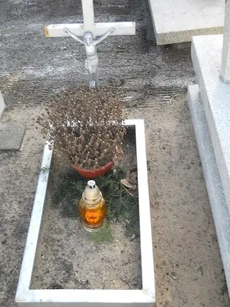 Zdjęcie grobu 100/100