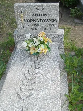 Zdjęcie grobu 45/357