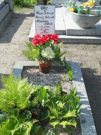 Zdjęcie grobu 20/100
