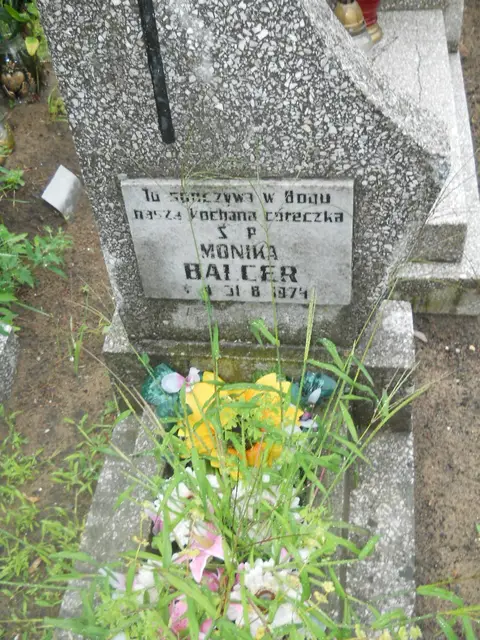 Zdjęcie grobu 21/23960