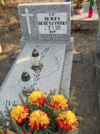 Zdjęcie grobu 4/172a