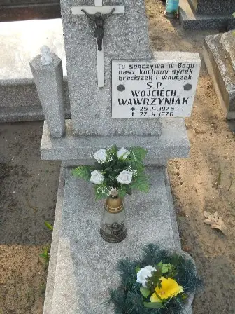 Zdjęcie grobu 9/100
