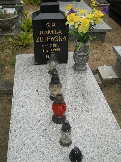 Zdjęcie grobu 12/29398