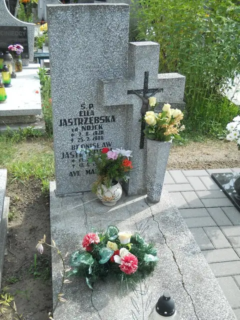 Zdjęcie grobu 26/23007