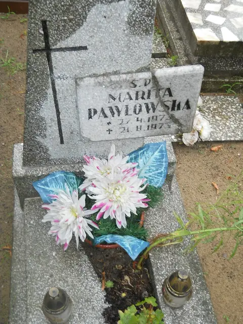 Zdjęcie grobu 21/23959