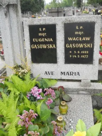 Zdjęcie grobu 36/220,221
