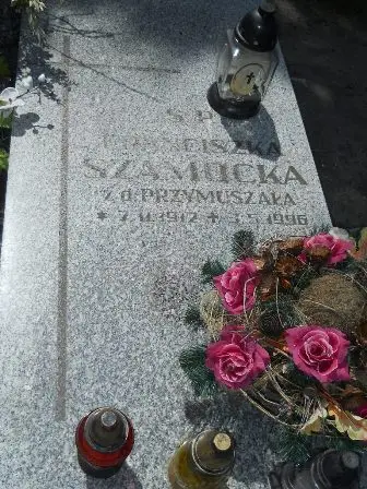 Zdjęcie grobu 25/109