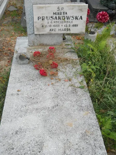 Zdjęcie grobu 14/26943