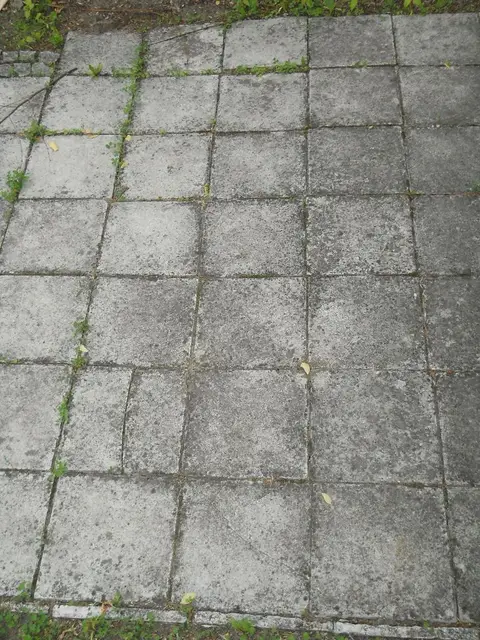 Zdjęcie grobu 7/11615