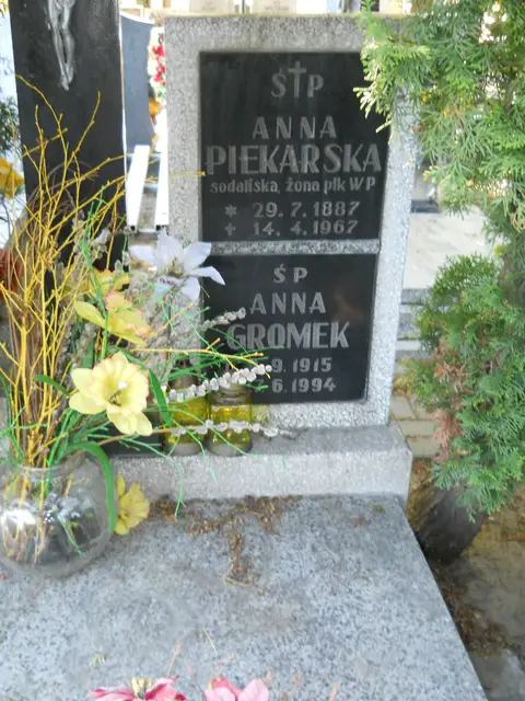 Zdjęcie grobu 8/10433