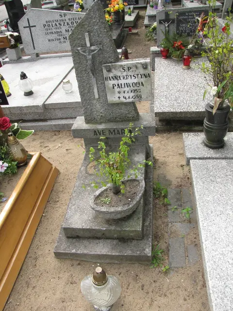 Zdjęcie grobu 13/29658