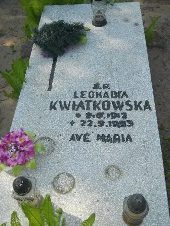 Zdjęcie grobu 34/100
