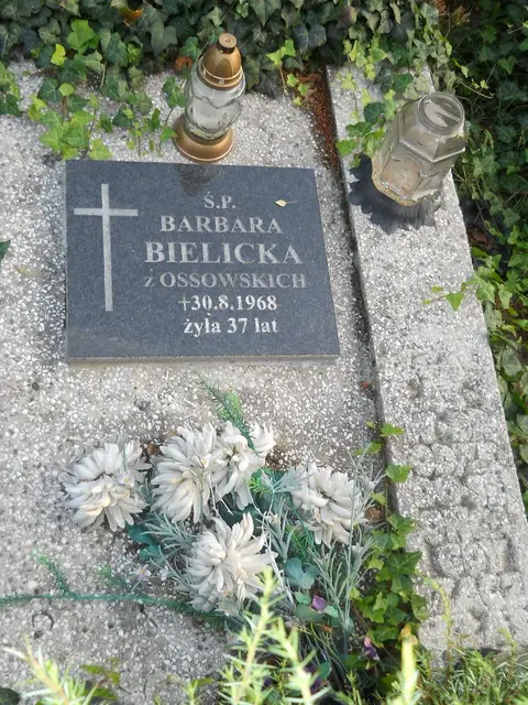 Zdjęcie grobu D/25856