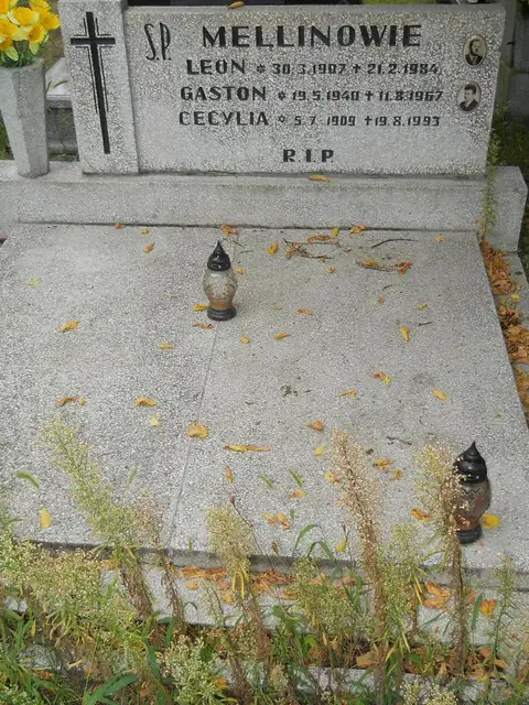 Zdjęcie grobu 14/26067