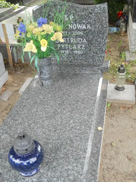 Zdjęcie grobu 9/24461