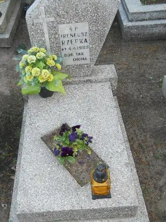 Zdjęcie grobu 7c/36