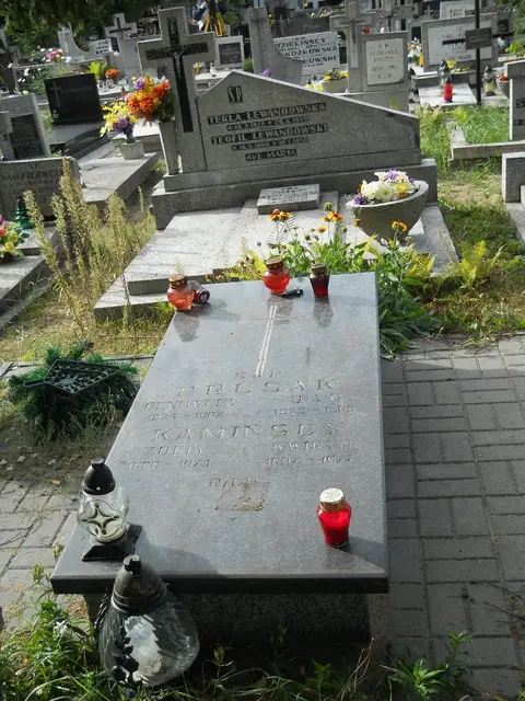 Zdjęcie grobu 11/29134
